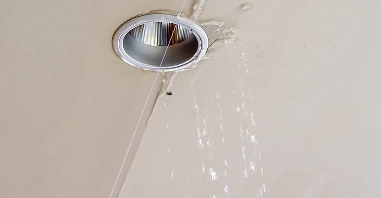 Image of a leak around a light fixture.