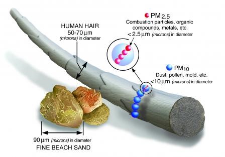 Diagram of the size of various pollutants, including dust, pollen, a human hair, and a grain of sand.