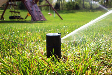 Image of a sprinkler spraying water on lush green grass.
